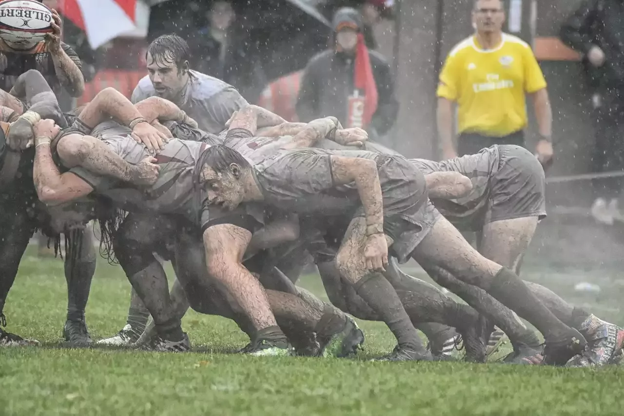 The Pro 14 Competition in Rugby